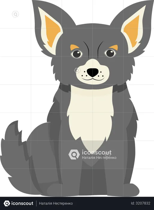 Grey terrier  Illustration
