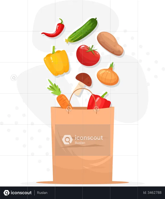 Grocery Bag  Illustration