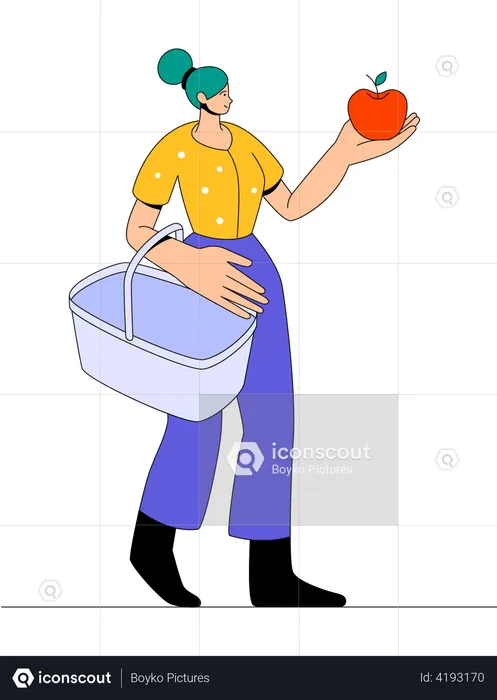 Grocery shopping by woman  Illustration
