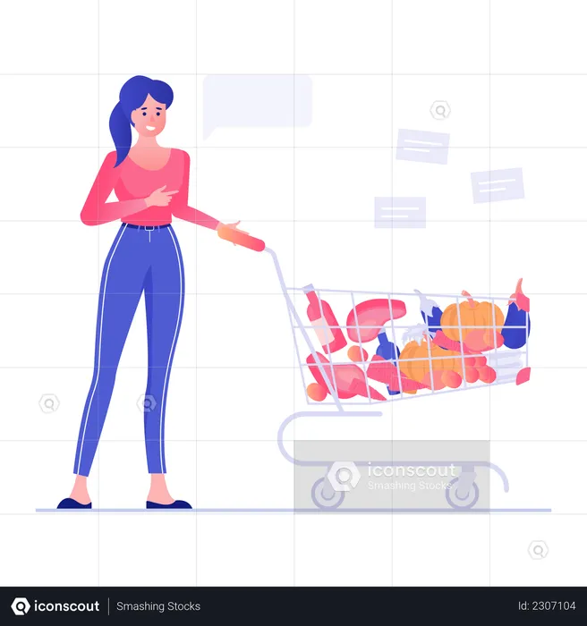 Grocery shopping Cart  Illustration