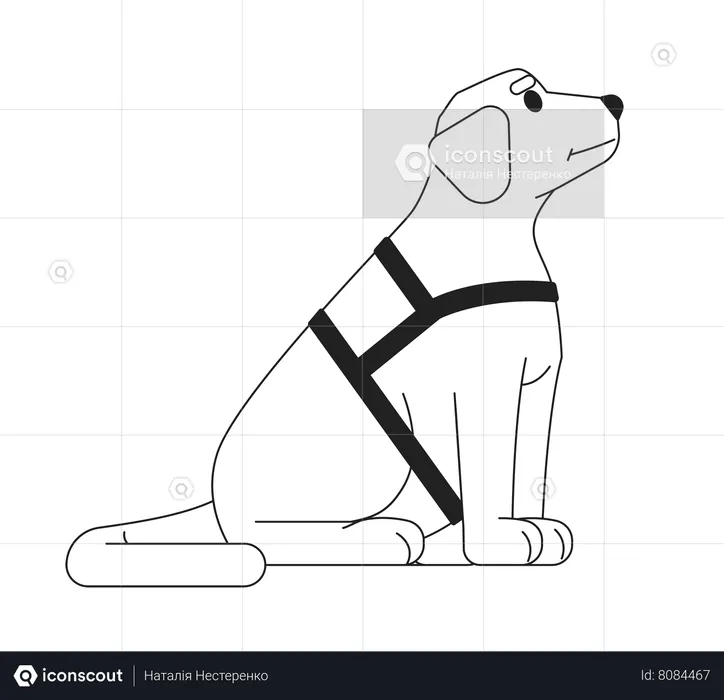 Guide dog labrador  Illustration