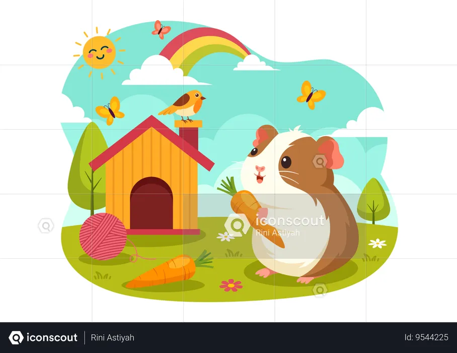 Guinea Pig  Illustration