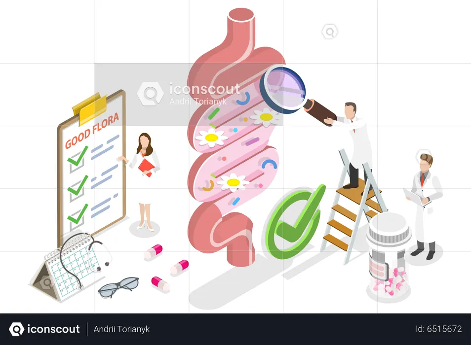 Gut Health  Illustration