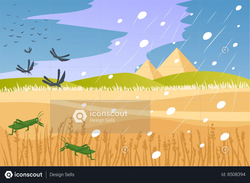 Hail and swarming locusts  Illustration