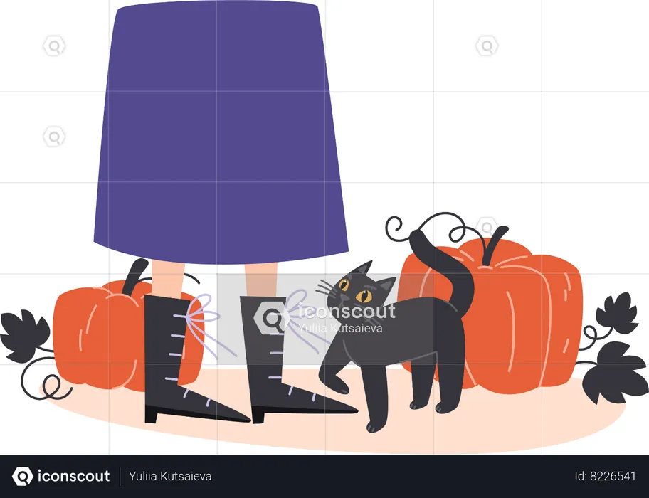 Black cat and pumpkins  Illustration