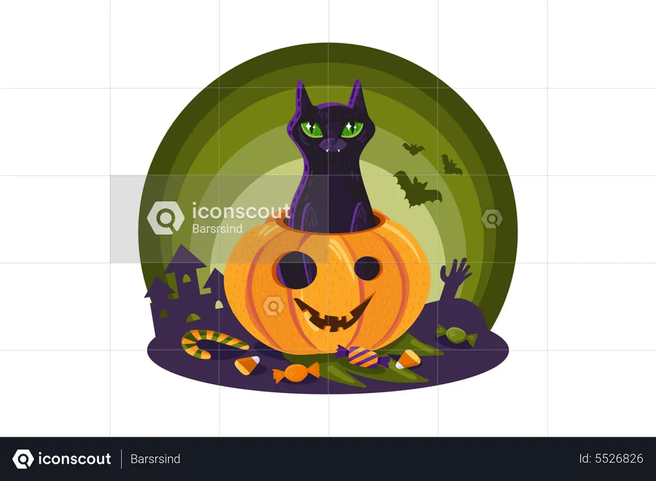 Halloween Cat In Pumpkin  Illustration