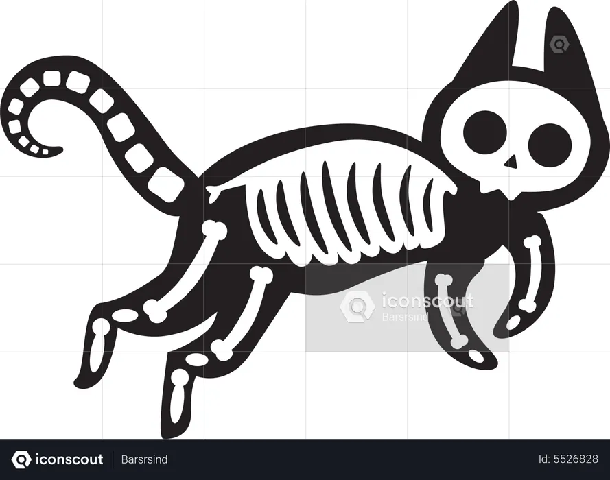 Halloween Scary Cat Skeleton  Illustration