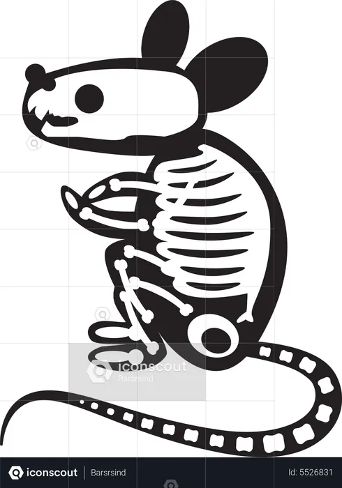 Halloween Scary Rat Skeleton  Illustration