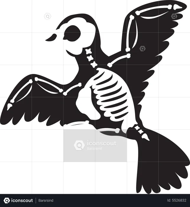 Halloween Scary Raven Skeleton  Illustration