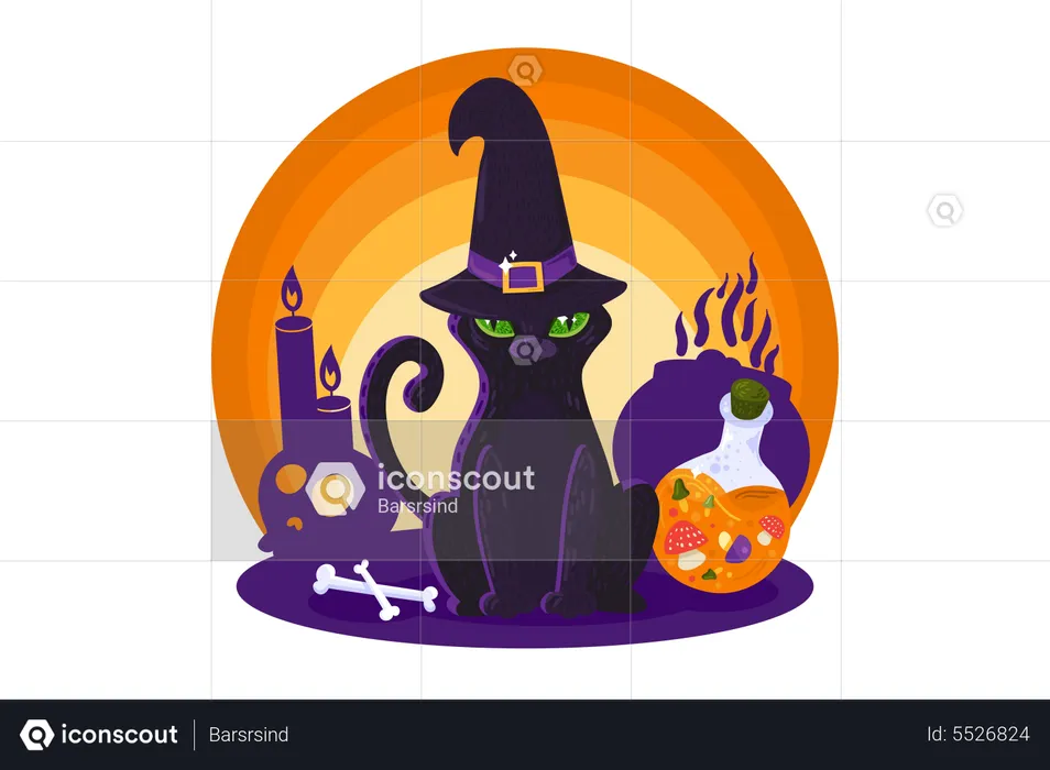 Halloween Witch Cat  Illustration