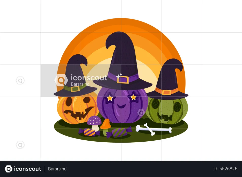 Halloween Witch Pumpkins  Illustration