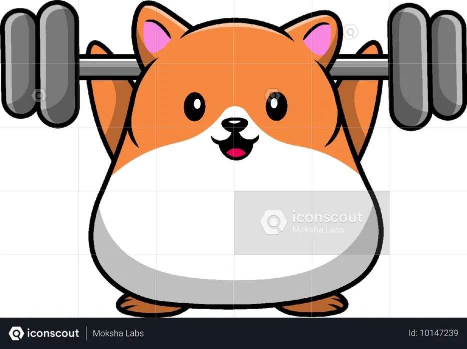 Hamster Gym Fitness  Illustration