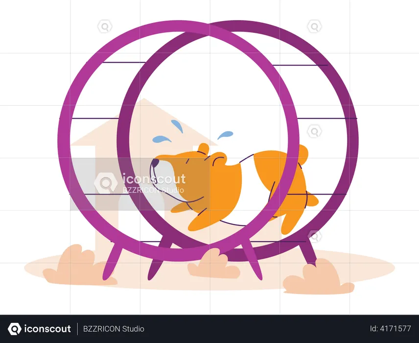 Hamster running in wheel  Illustration