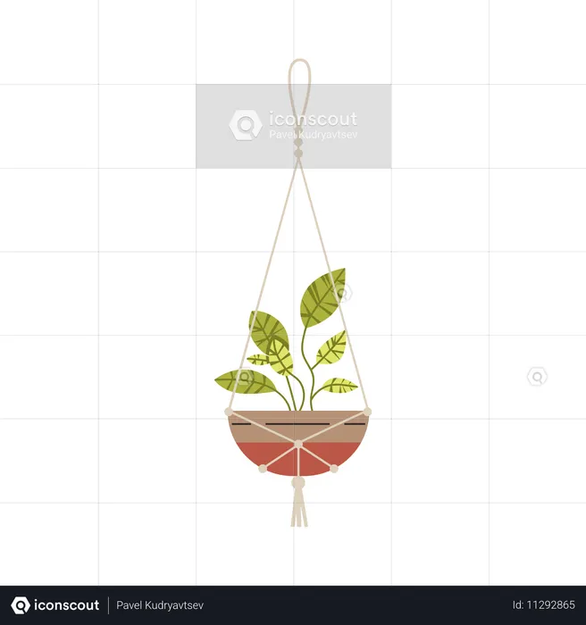 Hanging potted plant using macramé  Illustration