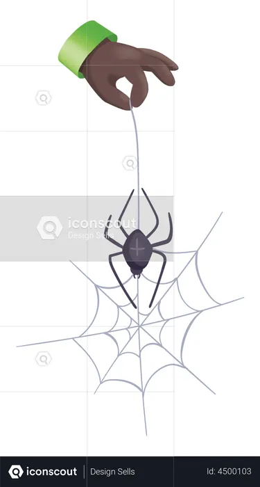 Hanging Spider  Illustration