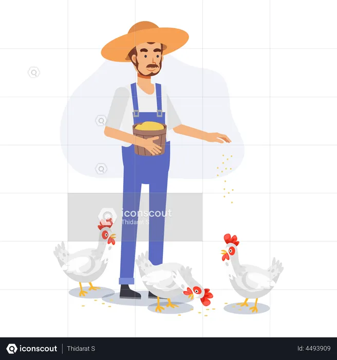 Happy male farmer is feeding chicken  Illustration