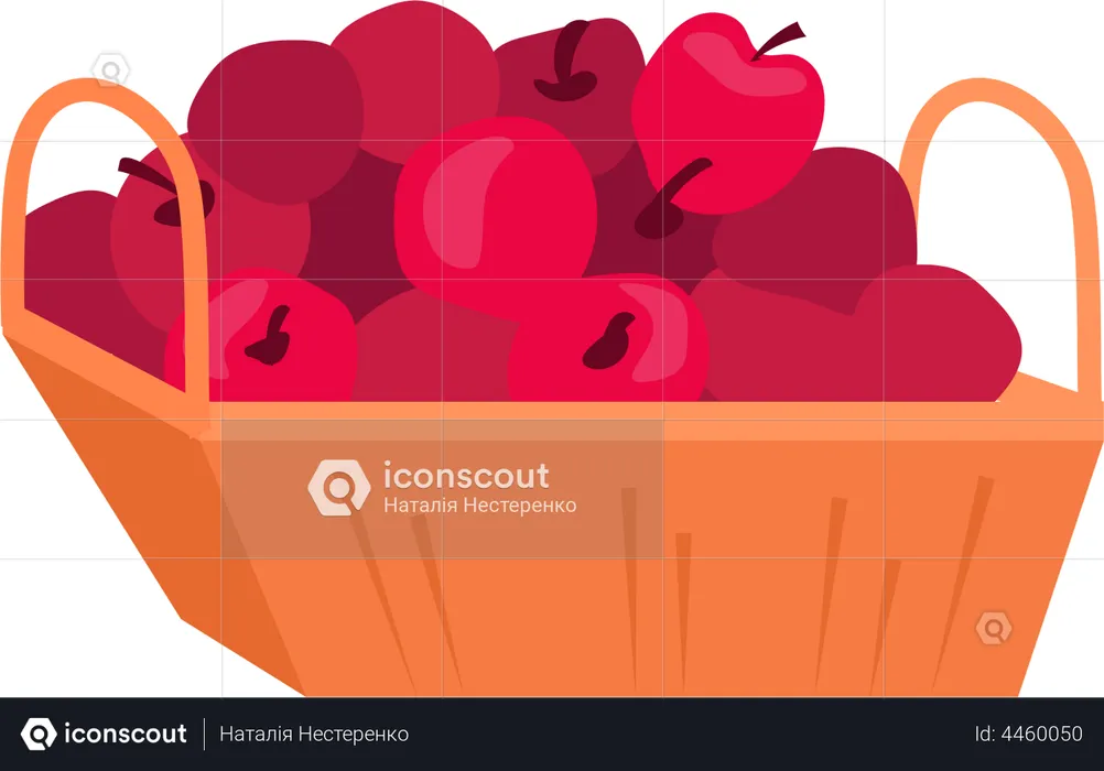 Harvest of ripe apples  Illustration