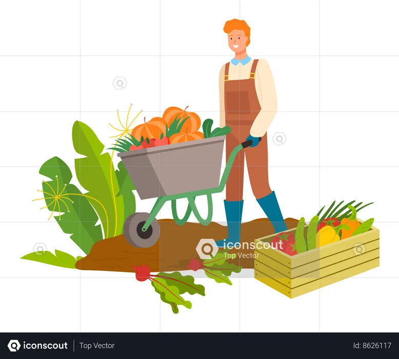 Harvesting man with cart  Illustration