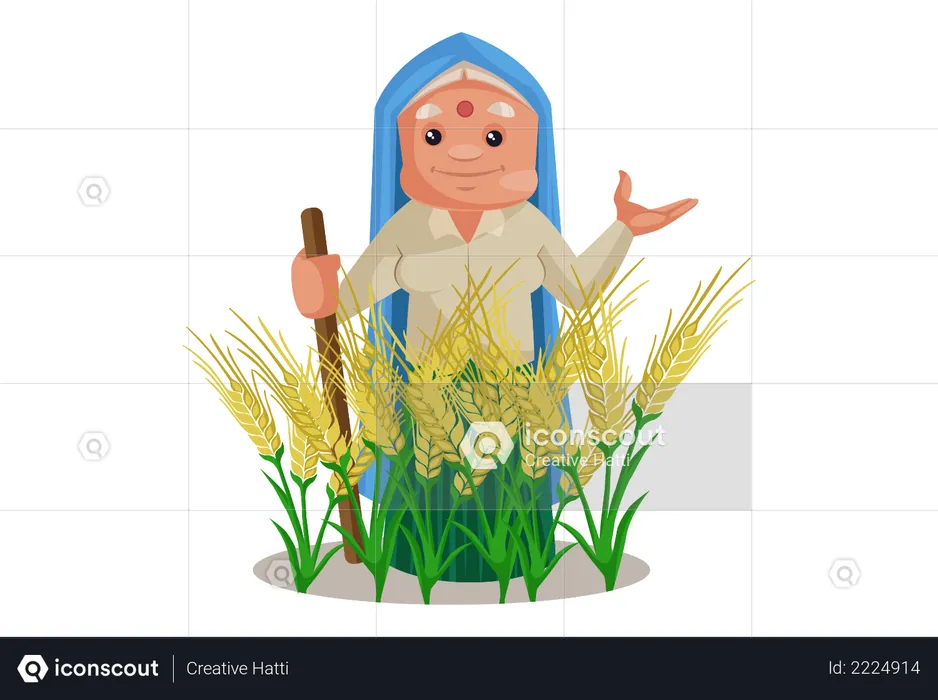 Haryanvi Woman in wheat crop agricultural land  Illustration