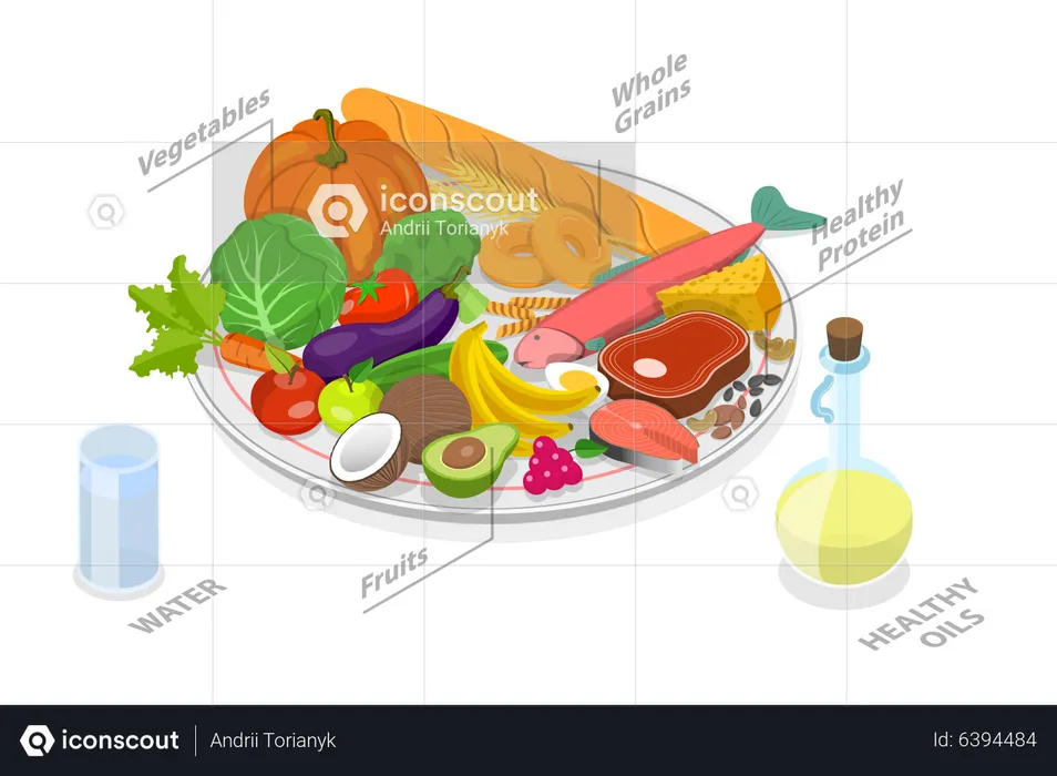 Healthy Food  Illustration