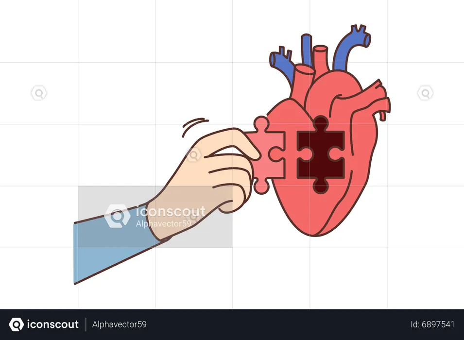 Heart donation  Illustration