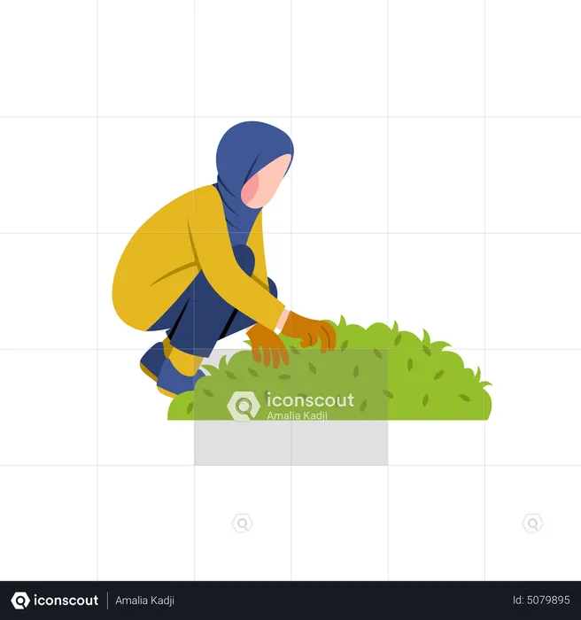 Hijab mujer jardinería  Ilustración