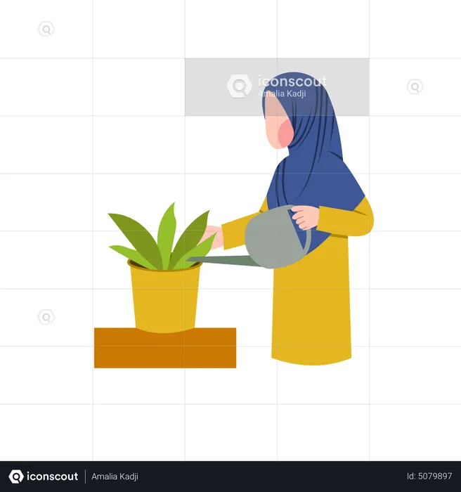 Hijab woman watering plant  Illustration