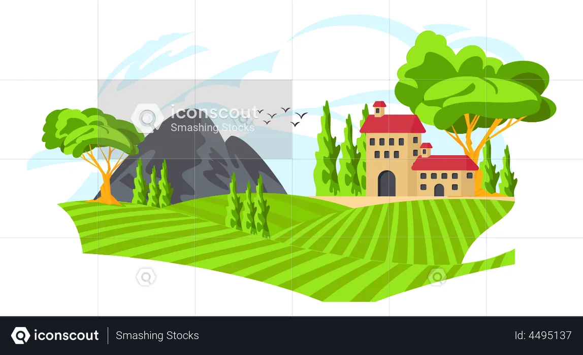Hilly Area  Illustration