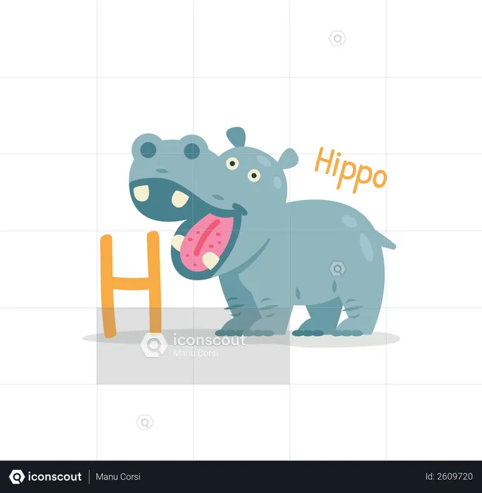 Hippo  Illustration