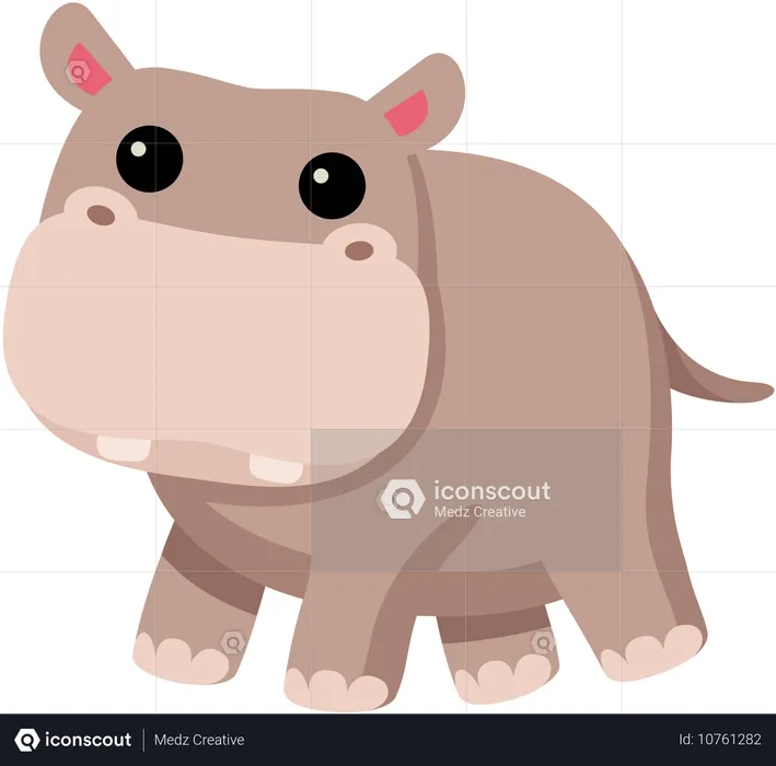 Hippopotame  Illustration