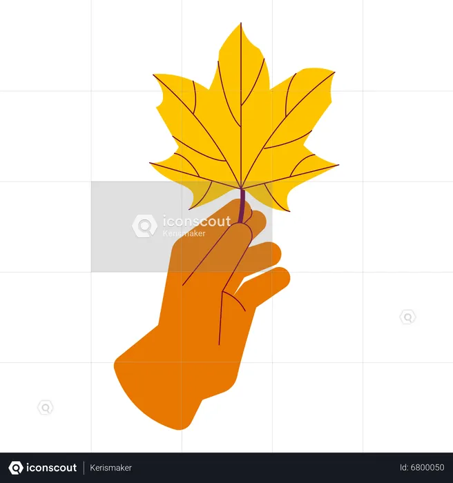 Holding dry maple leaf  Illustration