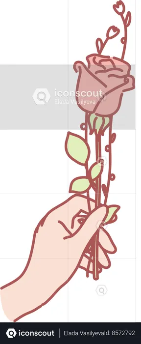 Holding rose flower  Illustration