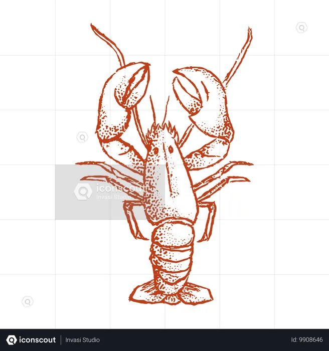 Homard  Illustration