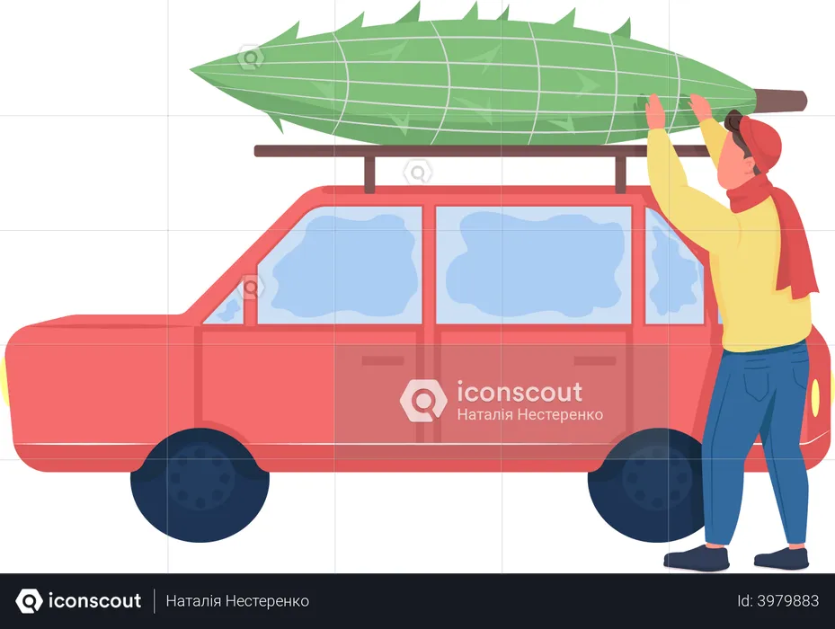 El hombre asegura el árbol en el coche.  Ilustración