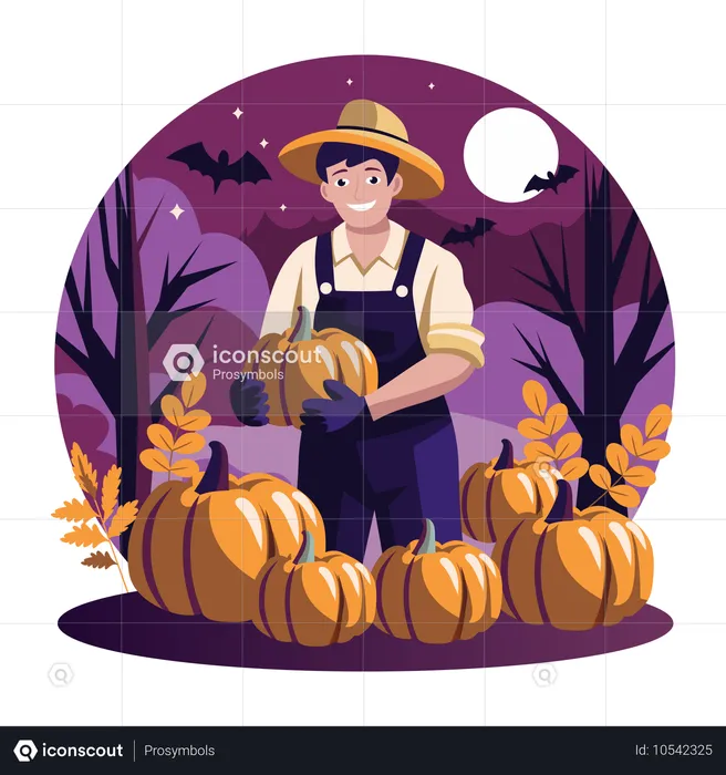 El hombre cosecha calabazas  Ilustración