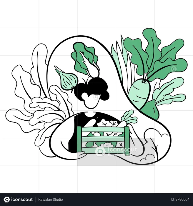 Hombre cosechando verduras orgánicas  Ilustración