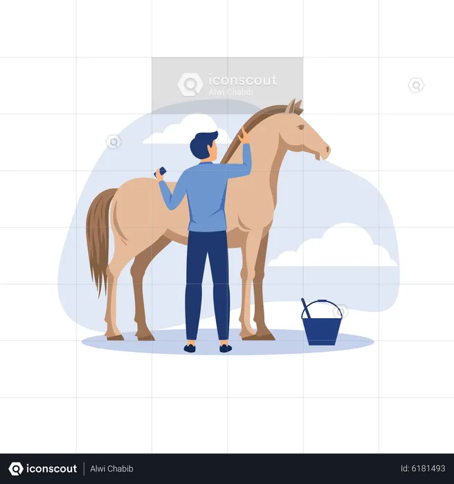 Hombre cuidando caballo  Ilustración