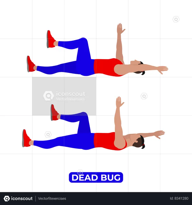 Hombre haciendo ejercicio de insectos muertos  Ilustración