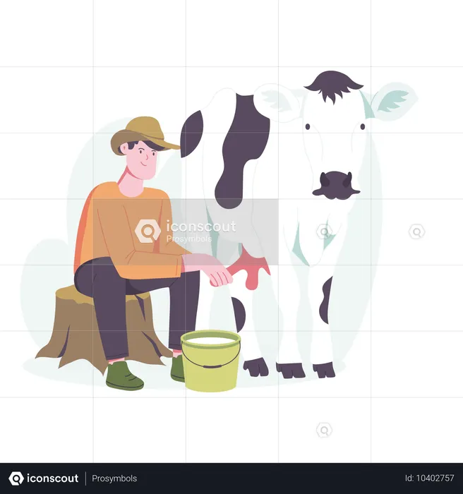 Hombre ordeñando vaca  Ilustración