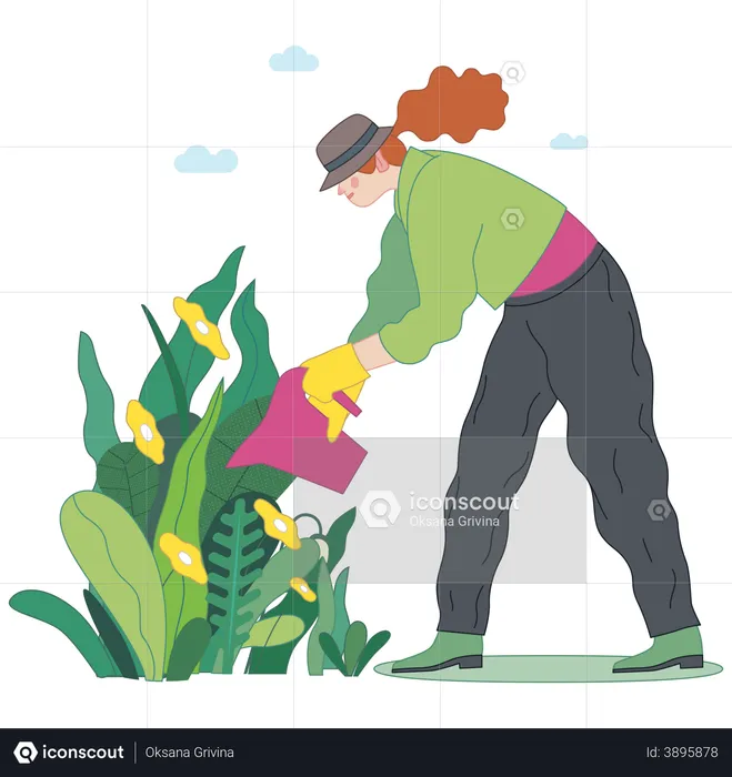 Mujer regando la planta  Ilustración