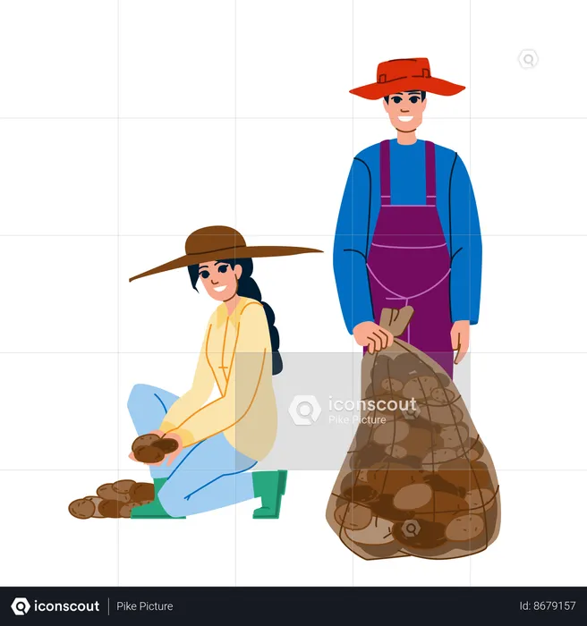 Agricultor y campesina cosechando patatas  Ilustración