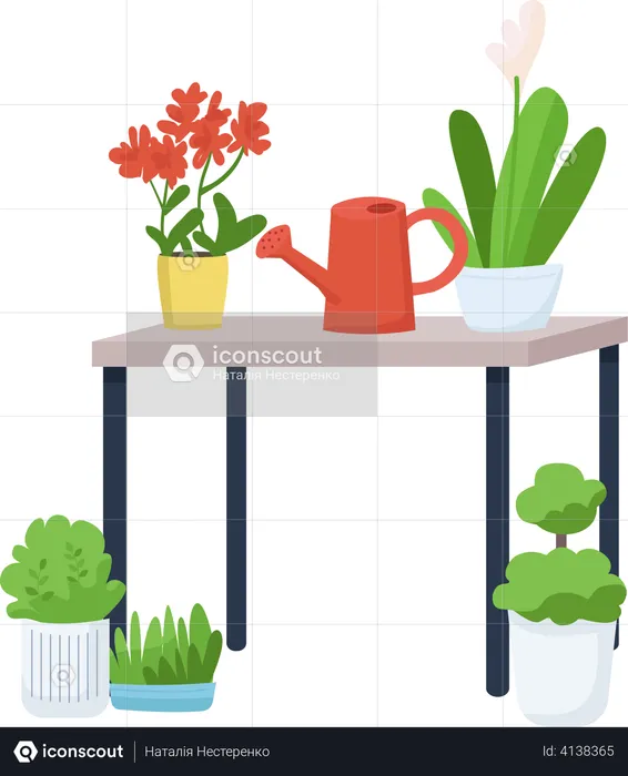 Home garden  Illustration