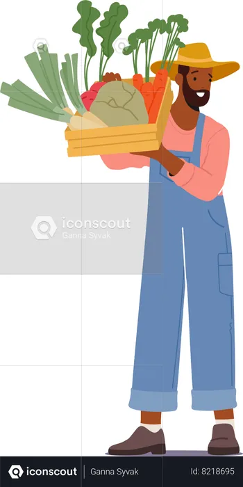 O fazendeiro masculino embala orgulhosamente a caixa de madeira transbordando com colhida recentemente  Ilustração