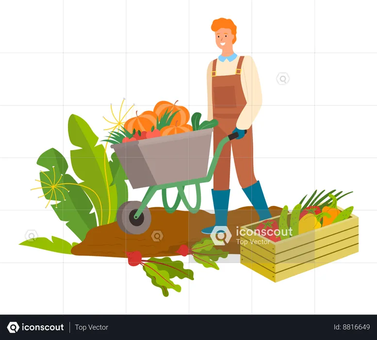 O homem está coletando frutas e legumes no carrinho  Ilustração