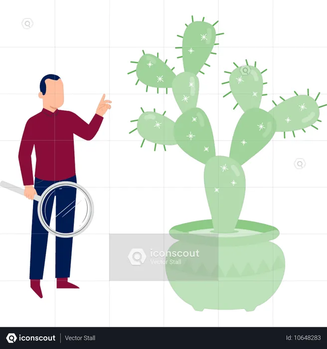 Homem fazendo pesquisa sobre planta cacto  Ilustração