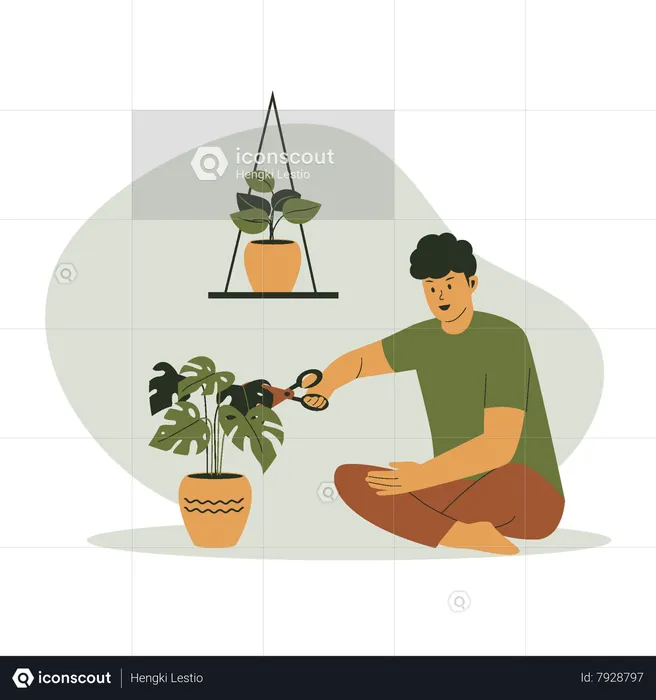 Homme coupant des feuilles de plante en pot  Illustration