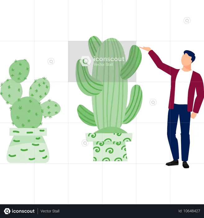 Homme présentant une plante cereus  Illustration