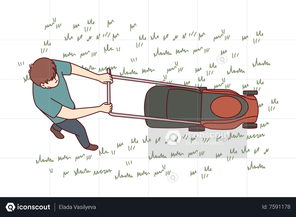 Homme utilisant une tondeuse à gazon pour couper l'herbe  Illustration