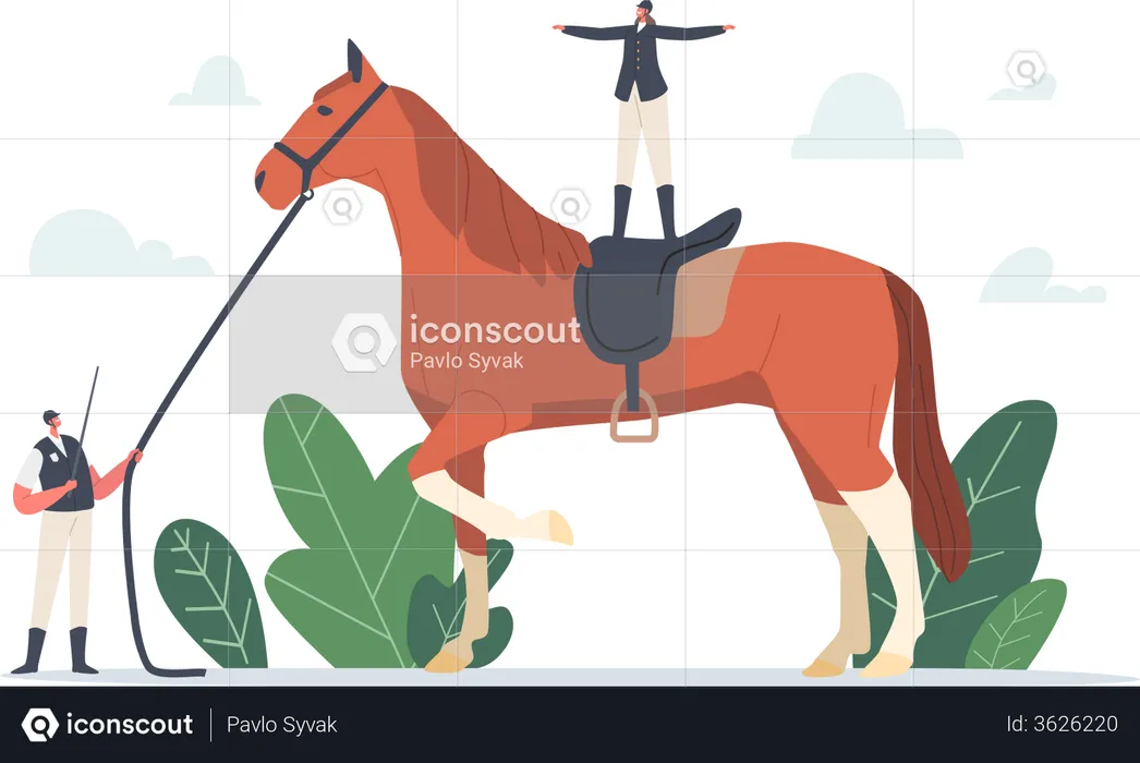 Horse training by trainer  Illustration