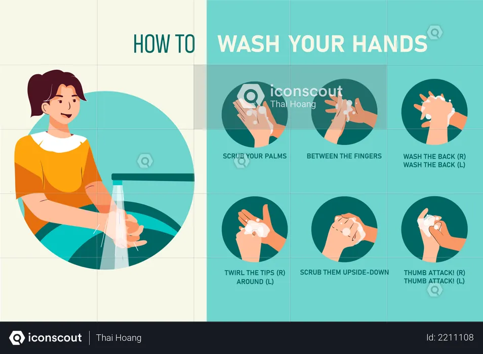 How to Wash Your Hands Steps  Illustration